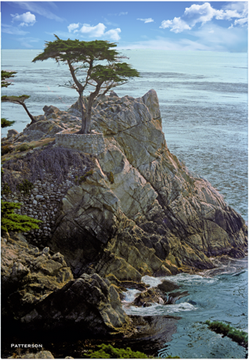 rocky shore in USA